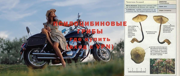каннабис Няндома